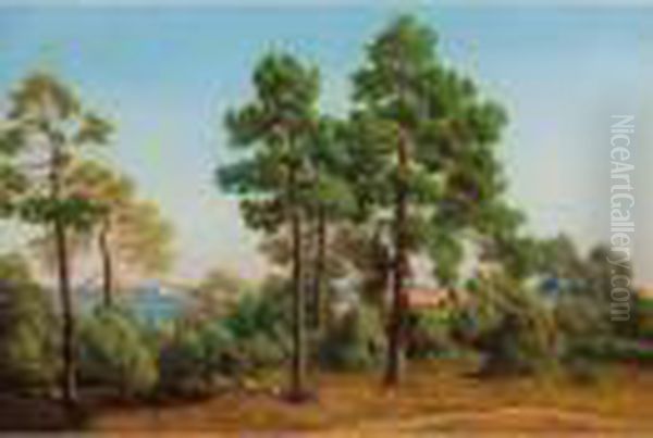 Veduta Dalla Baia Di St. Tropez, Cap Ferrat Oil Painting by Jacques Carabain