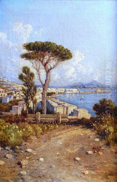 Neapolitan Coastal View Towards Vesuvius Oil Painting by Giuseppe Carelli