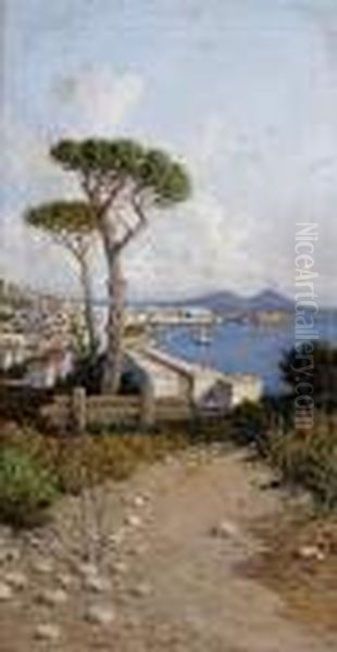 A View Of Naples From Across The Bay Oil Painting by Giuseppe Carelli