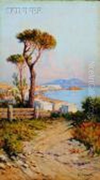 Coastal View With Mt. Vesuvius Oil Painting by Giuseppe Carelli