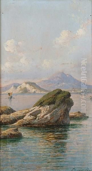 View Of The Bay Of Naples Oil Painting by Giuseppe Carelli