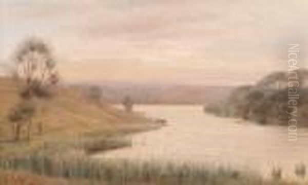 Sunset 
 River Quoile Near Downpatrick Oil Painting by Joseph Carey Carey