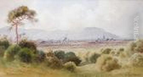 View Of Belfast From Castlereagh Oil Painting by Joseph Carey Carey