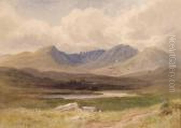 Boglands Oil Painting by Joseph Carey Carey