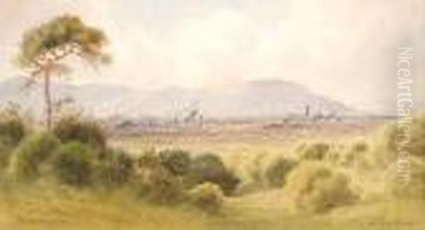 Belfast From Castlereagh Oil Painting by Joseph Carey Carey