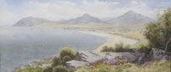 Killiney, Dublin Bay Oil Painting by Joseph Carey Carey