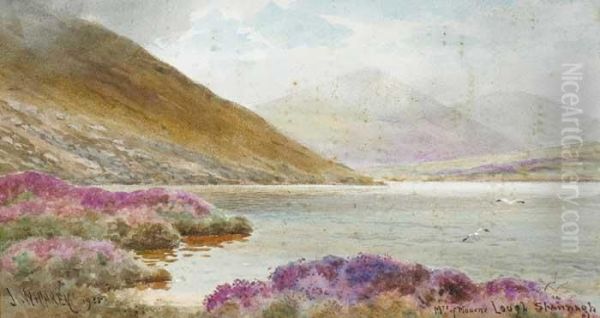 Mountains Of Mourne, Lough Shannagh Oil Painting by Joseph Carey Carey