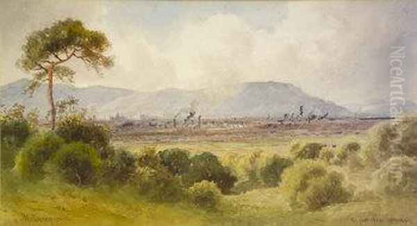 Belfast From Castlereagh Oil Painting by Joseph Carey Carey