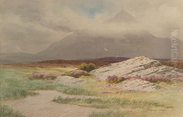 Muckish, Creeslough, Donegal Oil Painting by Joseph Carey Carey