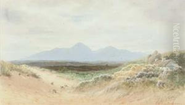 Dundrum Dunes, Co. Down Oil Painting by Joseph Carey Carey