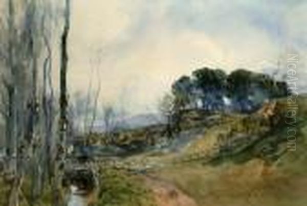 Paesaggio Della Campagna Romana Con Ponticello Sul Canale Oil Painting by Onorato Carlandi