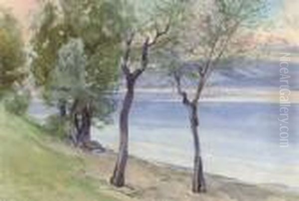 Baveno Oil Painting by Onorato Carlandi