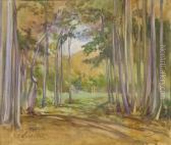 Il Bosco Di Fiuggi Oil Painting by Onorato Carlandi