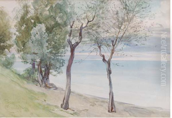 Trees On The Coast At Baveno Oil Painting by Onorato Carlandi