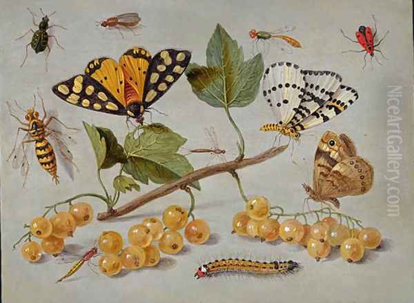 Butterflies And Insects Oil Painting by I Jan Van