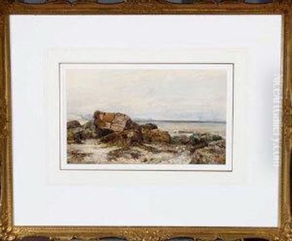 Rocks And Seaweed On A Beach Oil Painting by John Wilson Carmichael