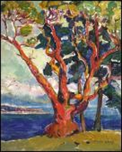 Arbutus Tree / Untitled Portrait Verso Oil Painting by Emily M. Carr