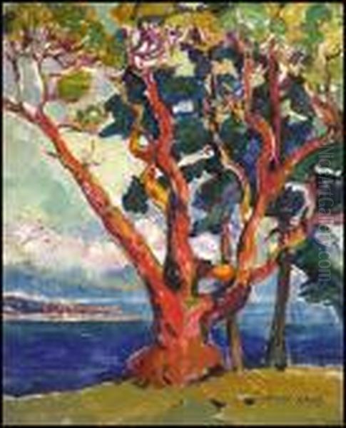 Arbutus Tree (untitled Portrait Verso) Oil Painting by Emily M. Carr