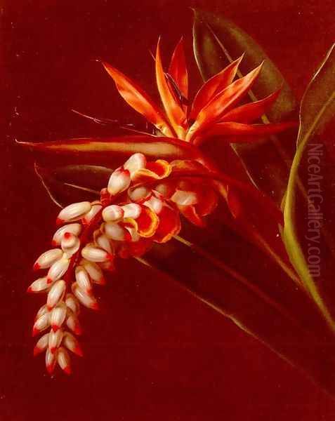 Bird Of Paradise Oil Painting by Johan Laurentz Jensen