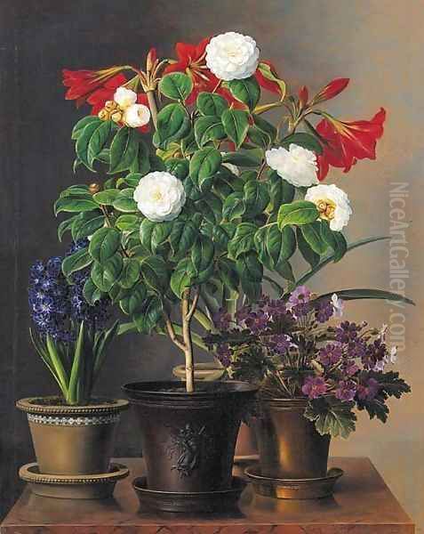 Camelias, amaryllis, hyacinth and violets in ornamental pots on a marble ledge Oil Painting by Johan Laurentz Jensen