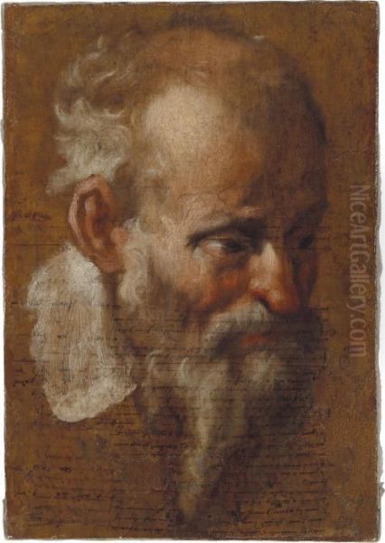 Headstudy Of A Bearded Old Man Oil Painting by Annibale Carracci