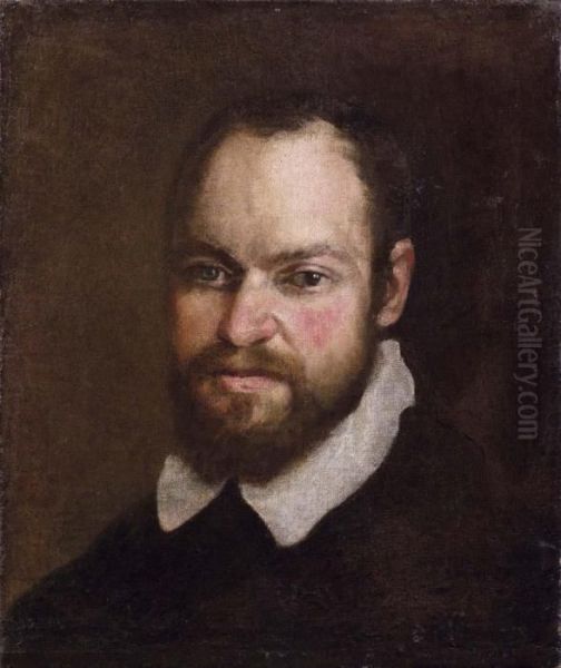 Ritratto Maschile Barbuto (agostihnocarracci?) Oil Painting by Annibale Carracci