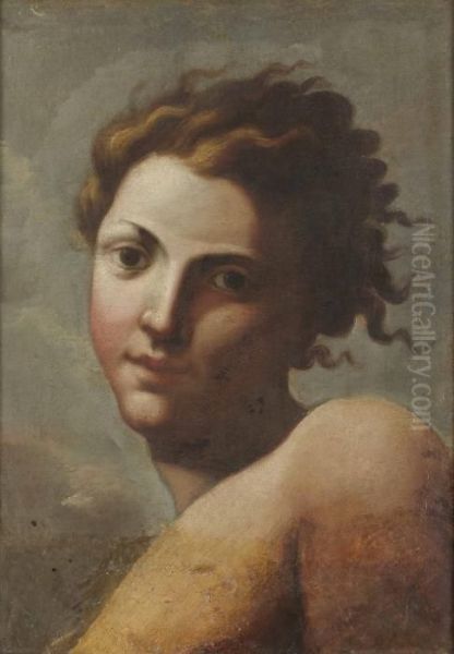 Studie Av Huvud Oil Painting by Annibale Carracci