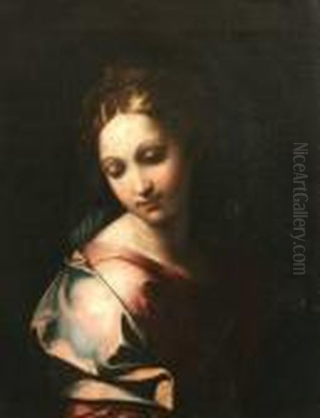 Saint In Rose Colored Dress Oil Painting by Annibale Carracci