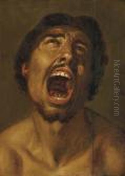 A Man Shouting Oil Painting by Annibale Carracci