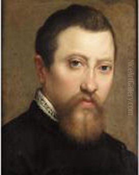 A Portrait Of A Bearded 
Gentleman, Head And Shoulders, Wearing Black With A White Lace Collar Oil Painting by Annibale Carracci