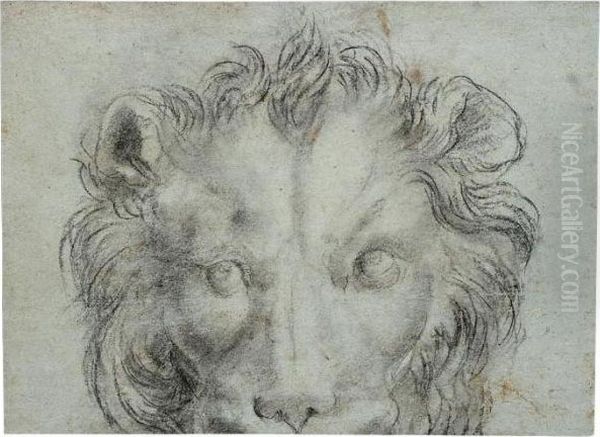 The Head Of A Lion Oil Painting by Annibale Carracci