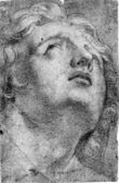 The Head Of Alexander The Great Seen From Below, After Theantique Oil Painting by Annibale Carracci