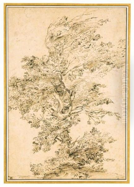 A Large Tree On A Rise
With Inscription 'carraci'
Black Chalk, Pen And Brown Ink Oil Painting by Annibale Carracci