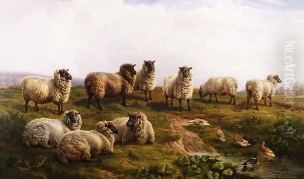 Welsh Black Faced Sheep Oil Painting by Charles Jones