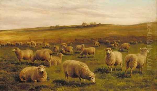 Sheep grazing with a cottage beyond Oil Painting by Charles Jones