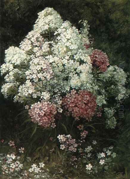 Phlox Oil Painting by David Johnson