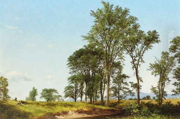 Young Elms Oil Painting by David Johnson