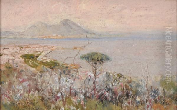 Veduta Del Golfo Di Napoli Oil Painting by Giuseppe Casciaro