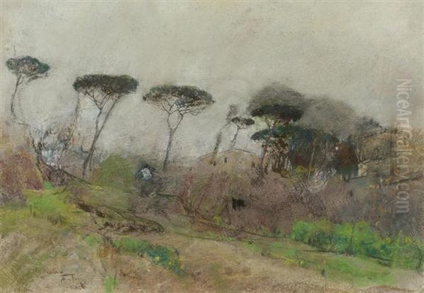 Landscape With Pine Trees Oil Painting by Giuseppe Casciaro