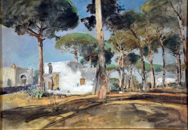 Pineta D'ischia Oil Painting by Giuseppe Casciaro