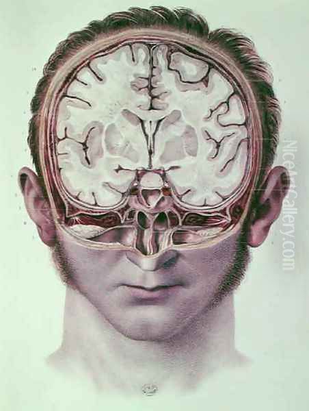 The Brain 2 Oil Painting by Nicolas Henri Jacob