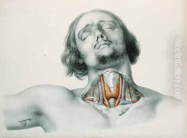 Cross section of the throat Oil Painting by Nicolas Henri Jacob