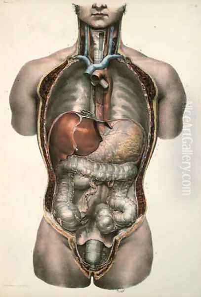 Internal organs Oil Painting by Nicolas Henri Jacob