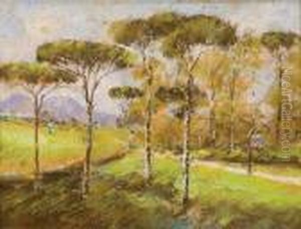 Strada Tra I Pini Oil Painting by Giuseppe Casciaro