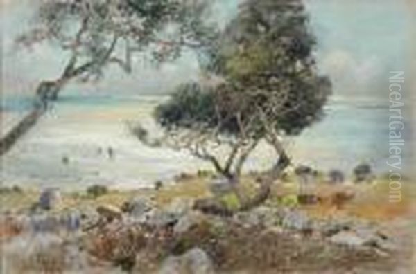 Paysage De Bord De Mer Oil Painting by Giuseppe Casciaro