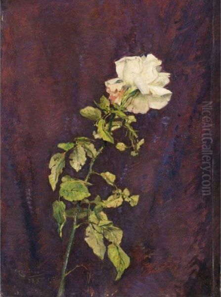 La Rosa Bianca Oil Painting by Giuseppe Casciaro