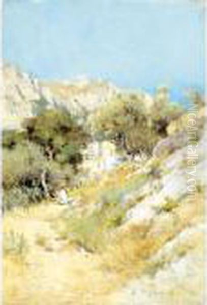 Veduta Di Capri Oil Painting by Giuseppe Casciaro