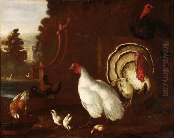 Turkeys,chickens, Peacocks And A Dove In A Baroque Garden Oil Painting by Pieter III Casteels