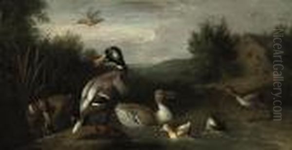 A Wooded River Landscape With A 
Male And Female Mallard, Ducklings,a Snipe, A Kingfisher And Another 
Duck, A Cottage Beyond Oil Painting by Pieter III Casteels