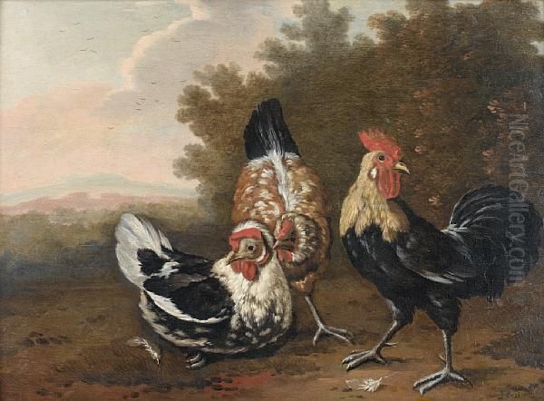 Ornamental Fowl In A Wooded Landscape Oil Painting by Pieter III Casteels